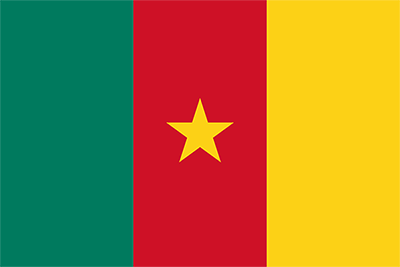 Flag of Cameroon